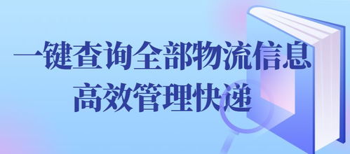 物流批量查询 一键查询全部物流信息,高效管理快递